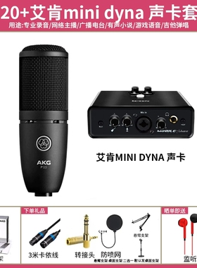 爱科技/AKG P120专业电容麦克风直播K歌录音有声书录音棚人声话筒