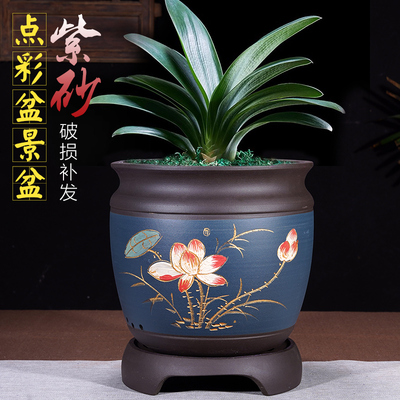 君子兰花盆陶瓷大号室内高档紫砂绿植盆景盆厂家直销特价清仓包邮