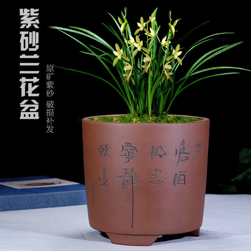 紫砂花盆悬崖式圆柱桶形盆君子兰花卉绿植室内简约特价大号陶瓷盆,鲜花速递/花卉仿真/绿植园艺,花盆,淘宝优惠券,粉丝福利购,淘宝优惠卷
