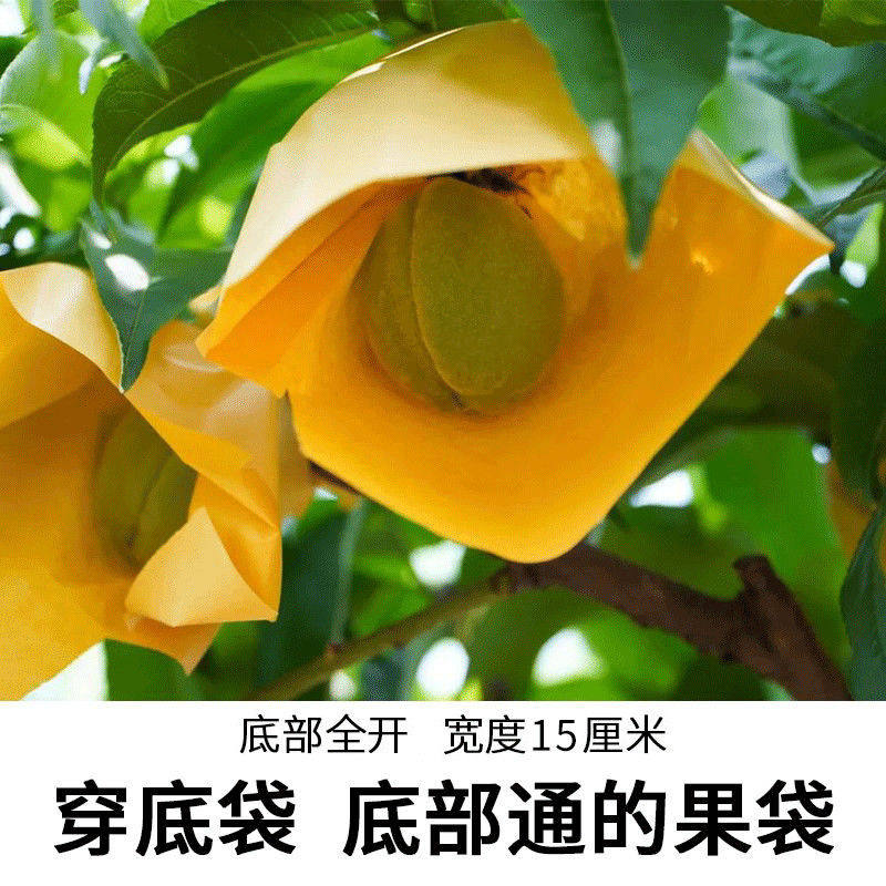 热情果专用套袋两头通防晒防雨水防虫批发哥伦比亚百香果通底套袋