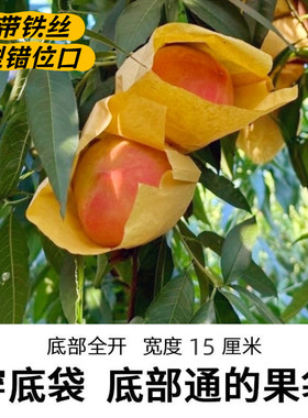 桃子专用穿底袋桃袋底部全开套袋通底袋单层防水防雨两头通果袋