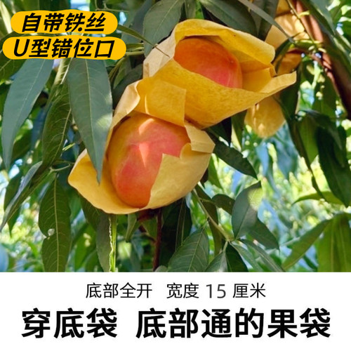 桃子专用穿底袋桃袋底部全开套袋通底袋单层防水防雨两头通果袋