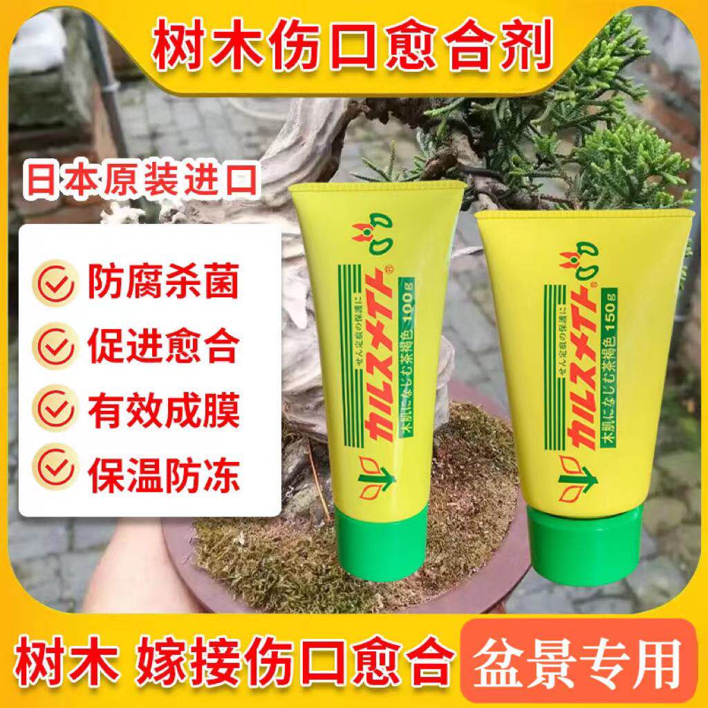 日本进口植物伤口愈合剂盆景苗木黑松罗汉松修剪切口愈伤膏封口胶