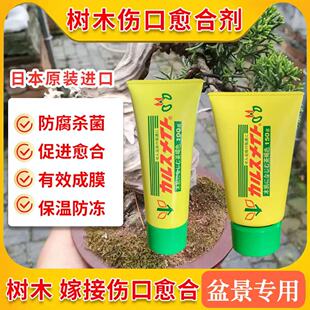 日本进口植物伤口愈合剂盆景苗木黑松罗汉松修剪切口愈伤膏封口胶