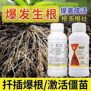国光根盼萘乙酸植物生根剂扦插移栽花卉苗木爆发式生根液粉促活剂