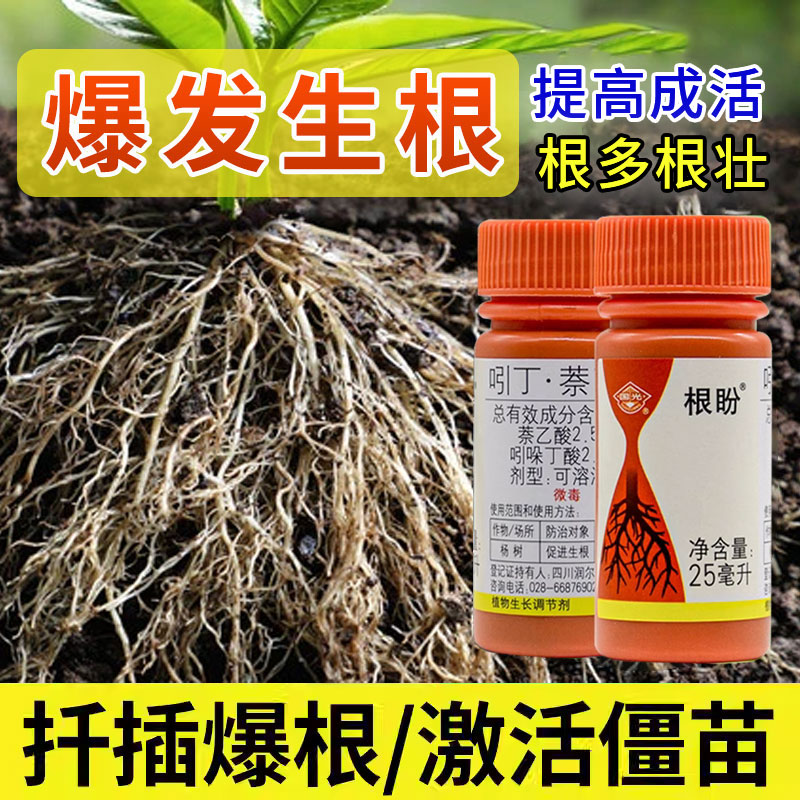 根盼快速生根液植物通用