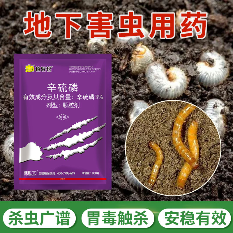 辛硫磷颗粒蛴螬幼虫土蚕老母虫马陆地老虎土壤地下害虫杀虫剂农药 - 实物图