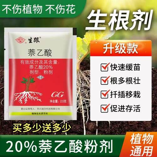 国光生根粉萘乙酸快速促进发根苗木盆栽扦插移栽爆发式调节生长液