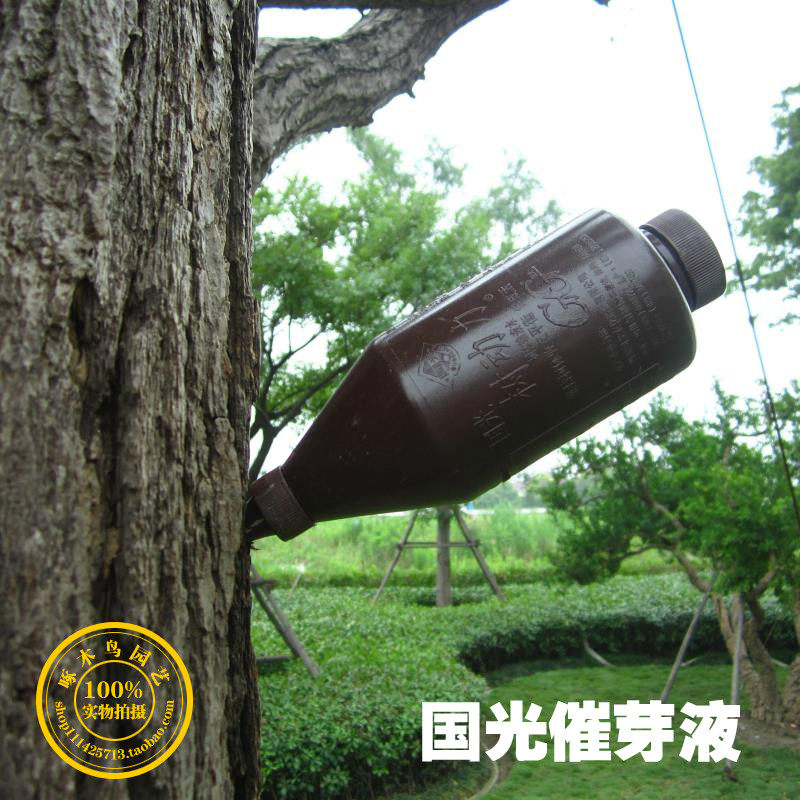 国光树动力大树催芽液营养激活液插瓶补充养分促进移栽树木发芽