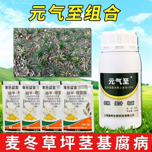 矮麦冬草坪枯萎病腐烂病干枯根腐