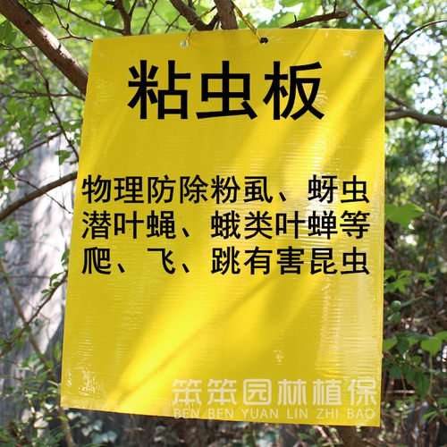 粘虫板黄板双面诱虫板除蓟马小黑飞蚜虫苍蝇果园户外大棚物理杀虫 - 封面