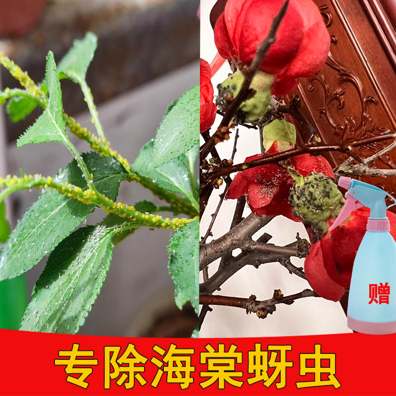 专除蚜虫密虫黄色虫子
