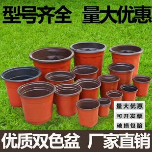 加厚双色育苗花盆营养钵塑料种植一次性大号扦插培养草莓多肉花卉
