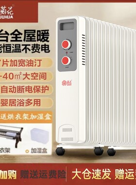 菊花油酊家用取暖器卧室母婴电暖气静音节能烤火炉大面积17片油汀