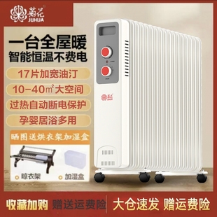 菊花油酊家用取暖器卧室母婴电暖气静音节能烤火炉大面积17片油汀