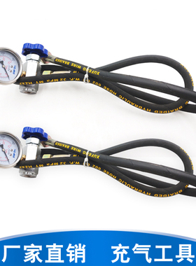 氮气蓄能器充气工具 CQJ型多功能充气工具充氮工具 CQJ-16 25 40