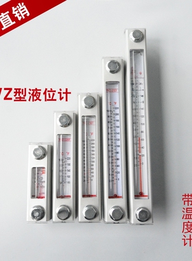 YWZ液位计油位计水位计-80T100T125T127T150T200T 250T 300T 400T