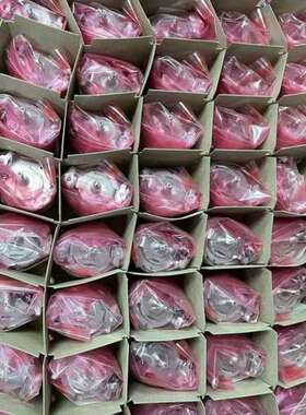 SKS36-HFA0-S01 和 SKS36-HFA2-S0（议价)