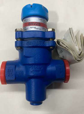 斯派莎克BRV2S接作用式高温蒸汽空气减压阀，DN25口径议价