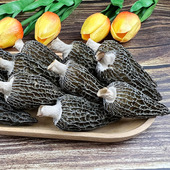 5公分精选菌菇炖汤佳品滋补养身 头茬羊肚菌3 七妹