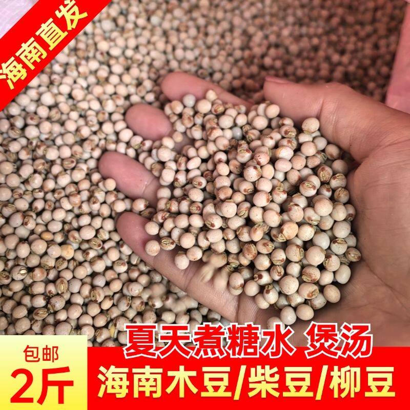 2026海南木豆食用清热炖糖水煲汤柳豆绿化药材灌木观音豆种子柴豆