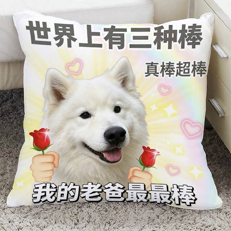 父亲节礼物趣味抱枕狗狗表情包送爸爸生日礼物沙发车载床头腰靠垫