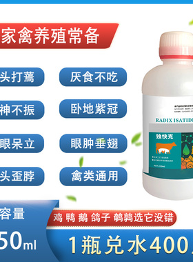 独快克鸡病全治养鸡专用药鸡鸭鹅打呼噜发呆缩头没精神养鸡不生病