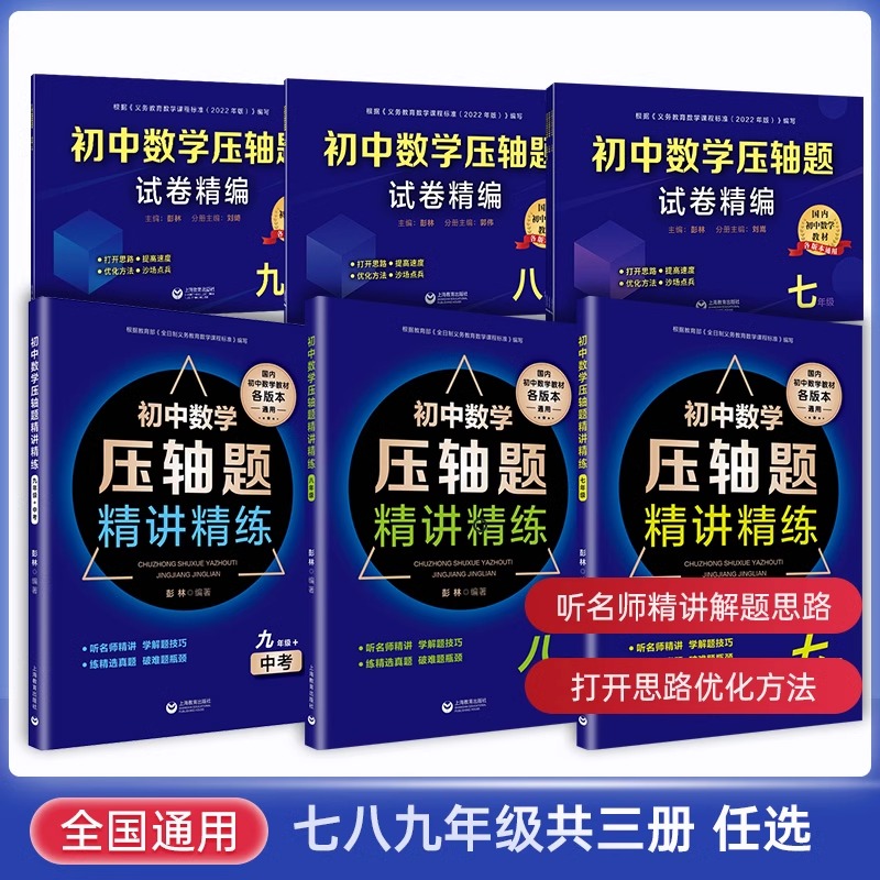 初中数学压轴题精讲精练试卷精编七八九年级通用版中考数学初一二三数学中考同步专项训练练习题刷题知识大全必刷竞赛教程书重难点