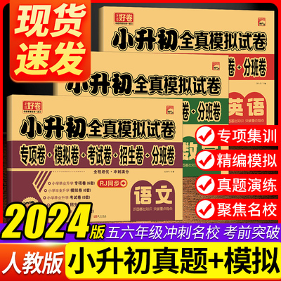 2024年小升初全真模拟试卷语文数学英语人教版 小学毕业升学总复习初一分班卷培优冲刺满分测试卷名校招生卷模拟期末专项训练卷子