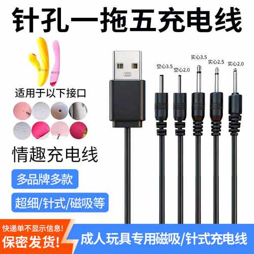 针孔DC3.5/2.5mm一拖五充电线