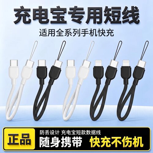 65W挂绳快充电线Type-C数据线适用Lightning安卓充电宝手机编织线