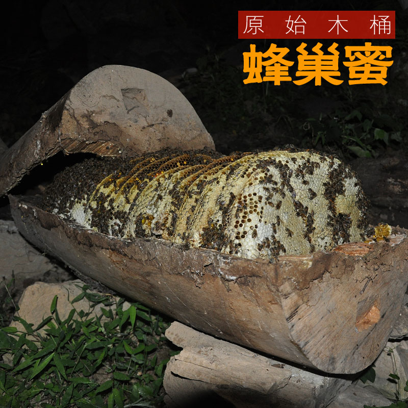 秦岭土蜂蜜百花蜜秦岭农家自产峰巢蜜纯正瓶装500g