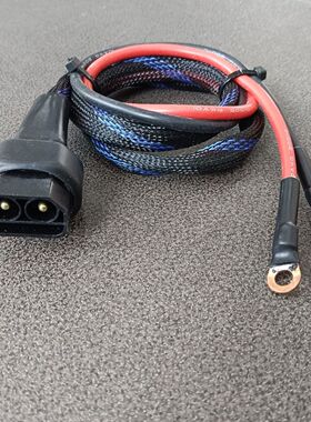 九号电动车E100E110E125/E200P锂电大功率放电线逆变器连接线通用
