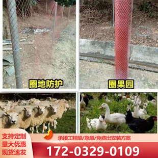 防锈菱形钢板网铁丝网围栏网格网钢丝养殖拦鸡网圈玉米护栏防护网