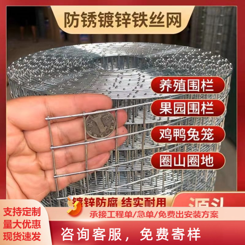 热镀锌钢丝网防锈铁丝网围栏养殖鸡鸽防鼠鸟笼兔笼蛇圈地网格隔离
