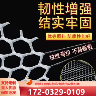 加厚塑料网格鸡鸭鹅羊苗床脚垫育雏漏粪胶网养蚕养蜂网围栏网