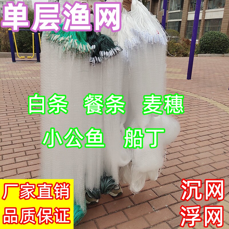 单层小渔网粘网沉网浮网挂子沾白条餐鱼网56789分1寸马口船丁丝网