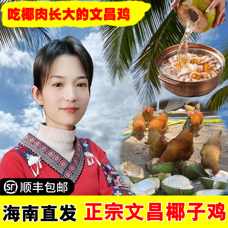 海南文昌椰子鸡全套餐椰奶糟粕醋火锅套餐走地鸡新鲜食材农家散养