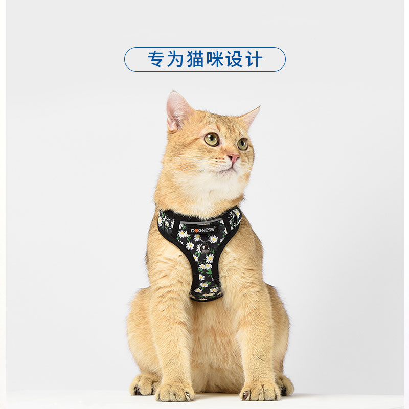 多尼斯小猫牵引绳遛猫绳防挣脱溜猫咪绳子猫链子家用拴猫神器背带