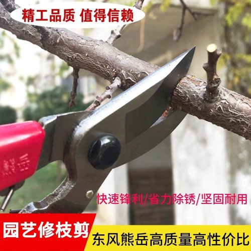 东风省力木修果树园艺剪刀