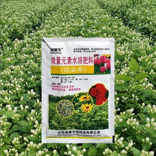 广西茉莉花催芽催花叶面肥花多多花芽分化花蕾多花大花白花期长