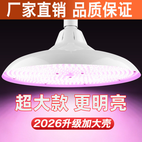 加大版新国标隐形红LED白光超亮