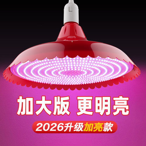 厂家直销LED红白光超亮红黄光