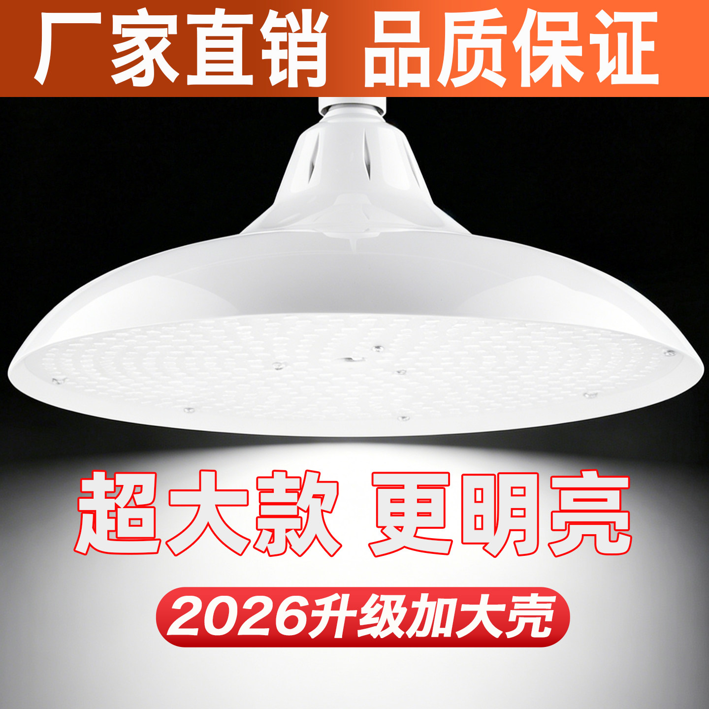 加大版新国标LED生鲜照明灯图片