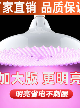 加大版LED白光灯大功率超亮微红