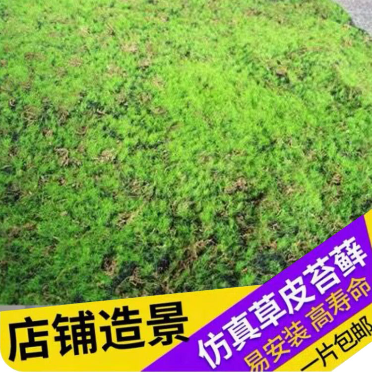 植毛石皮 仿真青苔草坪 青苔石 盆景 植物苔藓 仿真植物墙景草坪