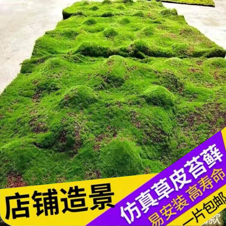 仿真绿植物墙青苔藓草皮仿真草坪绿色植物场景橱窗展示摆设假苔藓
