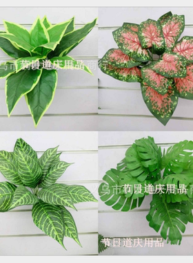 仿真绿色植物绿叶植物仿真万年青叶斑马白边叶草坪布景植物墙设计