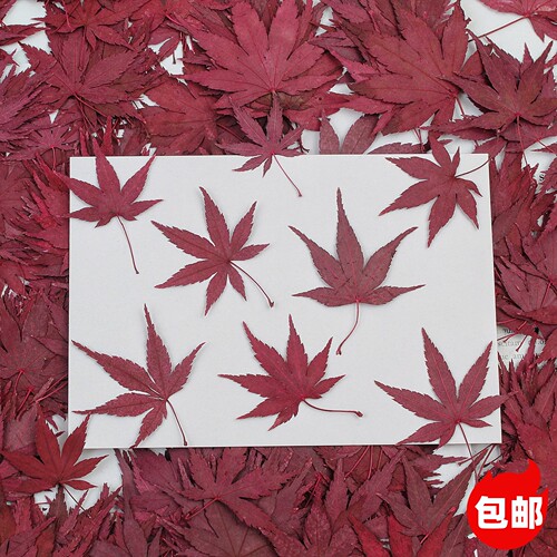 枫叶叶片秋季蛋糕装饰插件