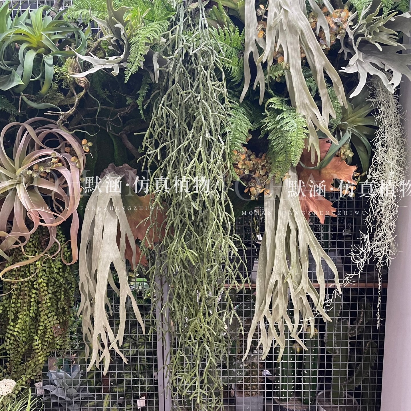 默涵仿真鹿角叶空气凤梨系列仿真